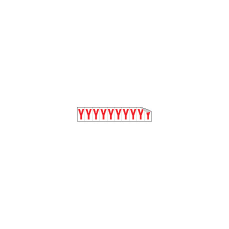 Foglio n. 10 etichette adesive B/R lettera Y
