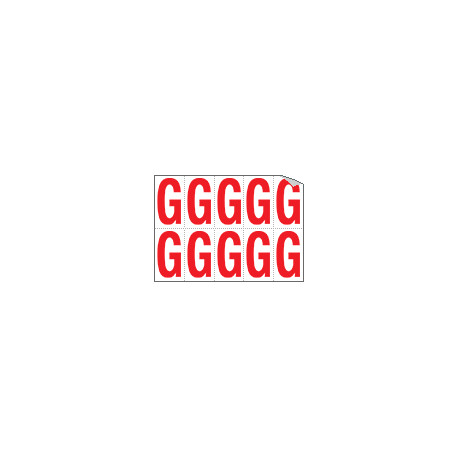 Foglio n. 10 etichette adesive B/R lettera G