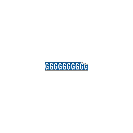 Foglio n. 10 etichette adesive B/B lettera G