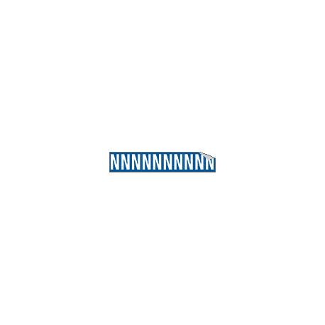 Foglio n. 10 etichette adesive B/B lettera N