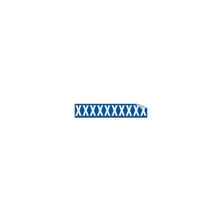 Foglio n. 10 etichette adesive B/B lettera X