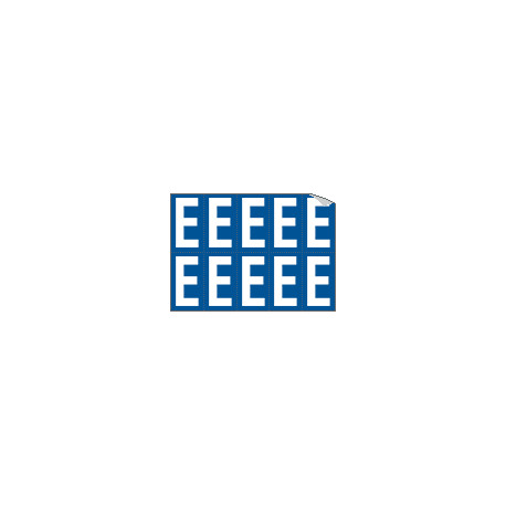 Foglio n. 10 etichette adesive B/B lettera E