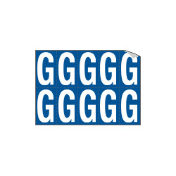 Foglio n. 10 etichette adesive B/B lettera G