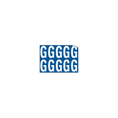 Foglio n. 10 etichette adesive B/B lettera G
