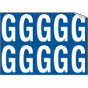 Foglio n. 10 etichette adesive B/B lettera G