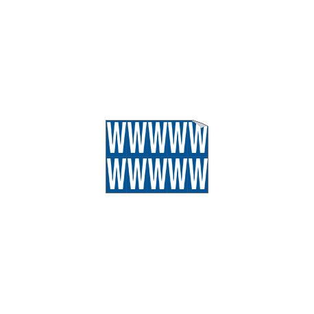 Foglio n. 10 etichette adesive B/B lettera W
