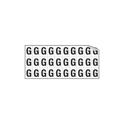 Foglio n. 30 etichette adesive B/N lettera G