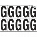 Foglio n. 10 etichette autoadesive B/N lettera G
