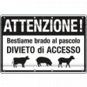 DIVIETO" ATTENZIONE! BESTIAME BRADO AL PASCOLO"
