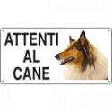 Cartello ATTENTI AL CANE (collie)