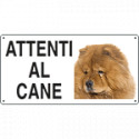 Cartello ATTENTI AL CANE (chow-chow)