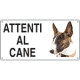 Cartello ATTENTI AL CANE (bull terriers)