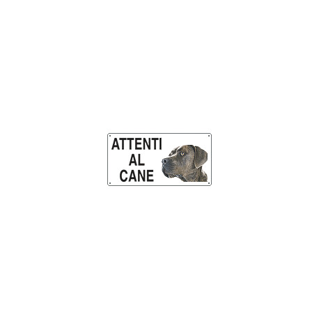 Cartello ATTENTI AL CANE (corso)