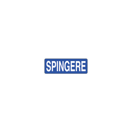 Foglio n. 1 etichette adesive fondo blu SPINGERE