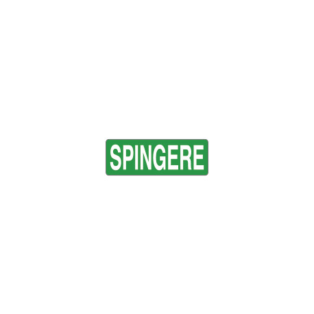 Foglio n. 1 etichette adesive fondo verde SPINGERE