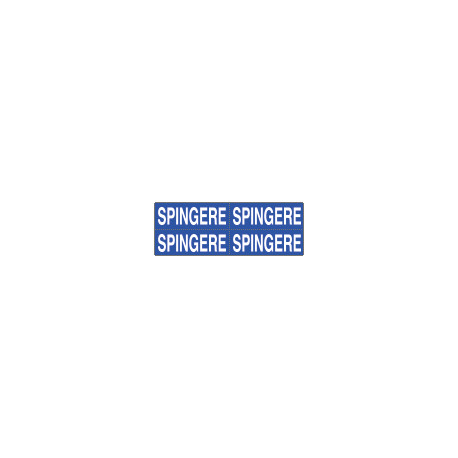 Foglio n. 4 etichette adesive fondo blu SPINGERE