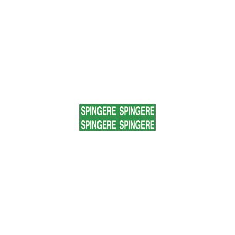Foglio n. 4 etichette adesive fondo verde SPINGERE
