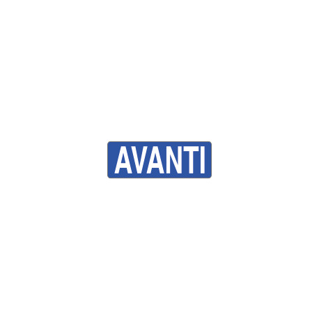 Foglio n. 1 etichette adesive fondo blu avanti