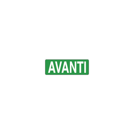 Foglio n. 1 etichette adesive fondo verde avanti
