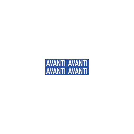Foglio n. 4 etichette adesive fondo blu avanti