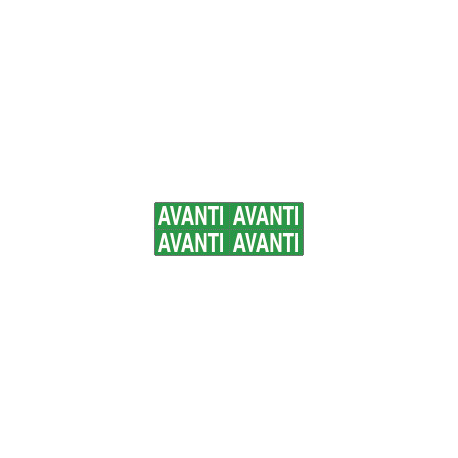 Foglio n. 4 etichette adesive fondo verde avanti