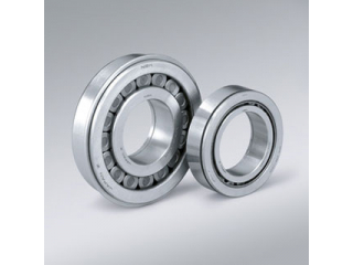 Cuscinetti a rulli cilindrici