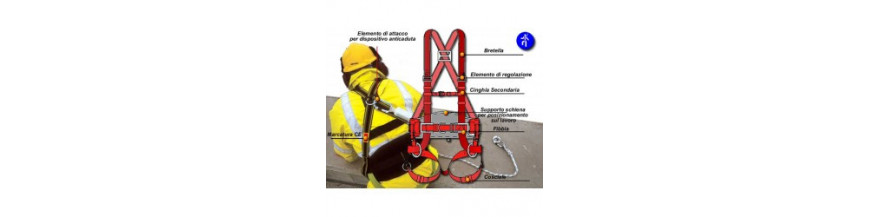 REVISIONE DISPOSITIVI ANTICADUTA 